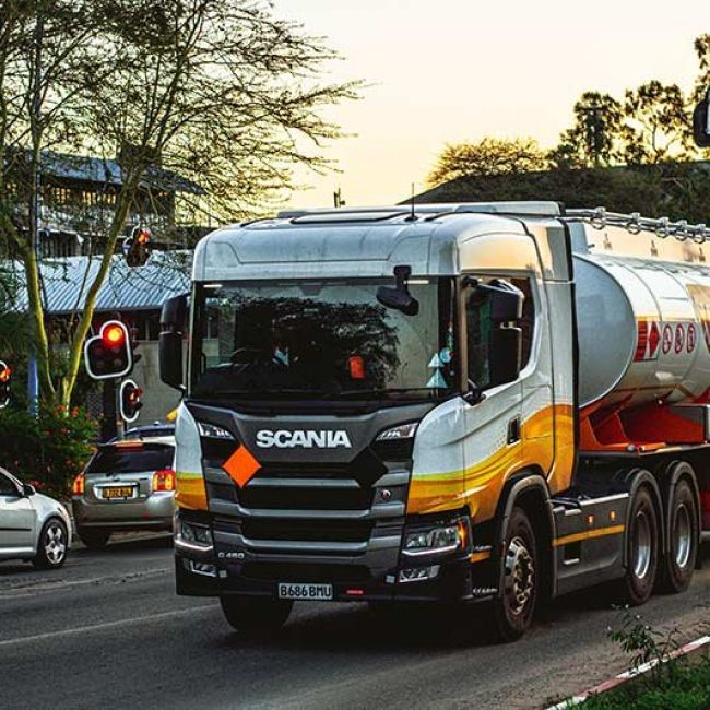 Renovación ADR